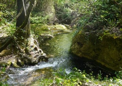 Cotignac waterfall walk